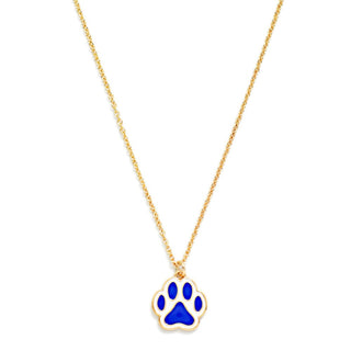 Chain Link Necklace Featuring Enamel Paw Print Pendant (2 Colors)