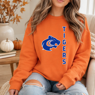 PRE-ORDER: CCT Head Tigers