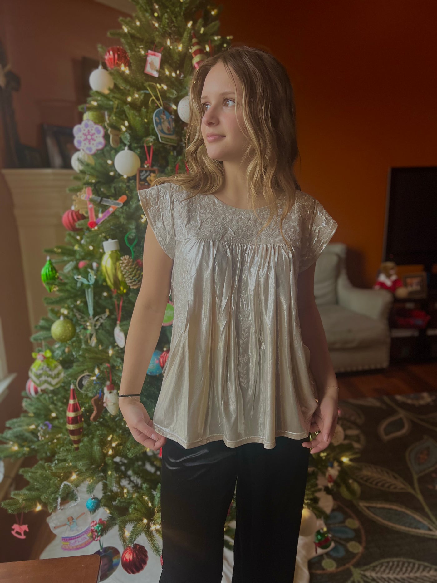 Champagne Shimmery Iridescent Embroidery Top