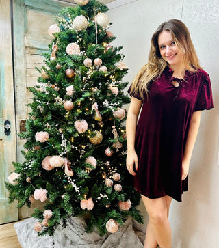 Wine Puff Sleeve Velvet Holiday Mini Dress Final Sale