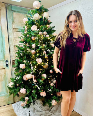 Wine Puff Sleeve Velvet Holiday Mini Dress Final Sale