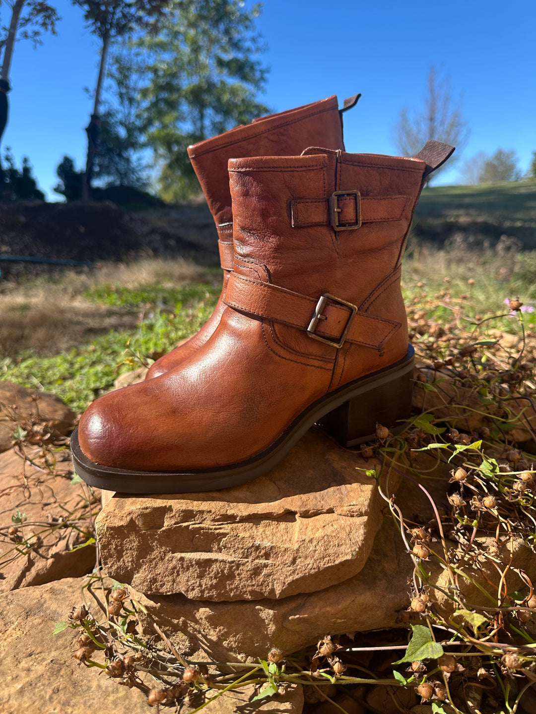 (取寄) ローン バイ ベッド ステュー レディース スプライ ROAN by Bed Stu women Spry Pecan HD TML Roan by Bed Stu 