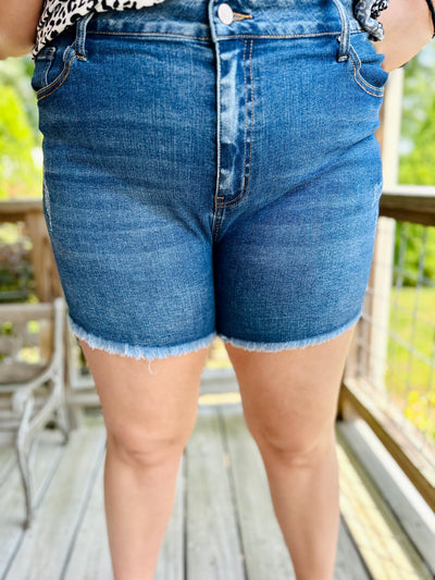 Curvy Vintage Wash Frayed Denim Shorts