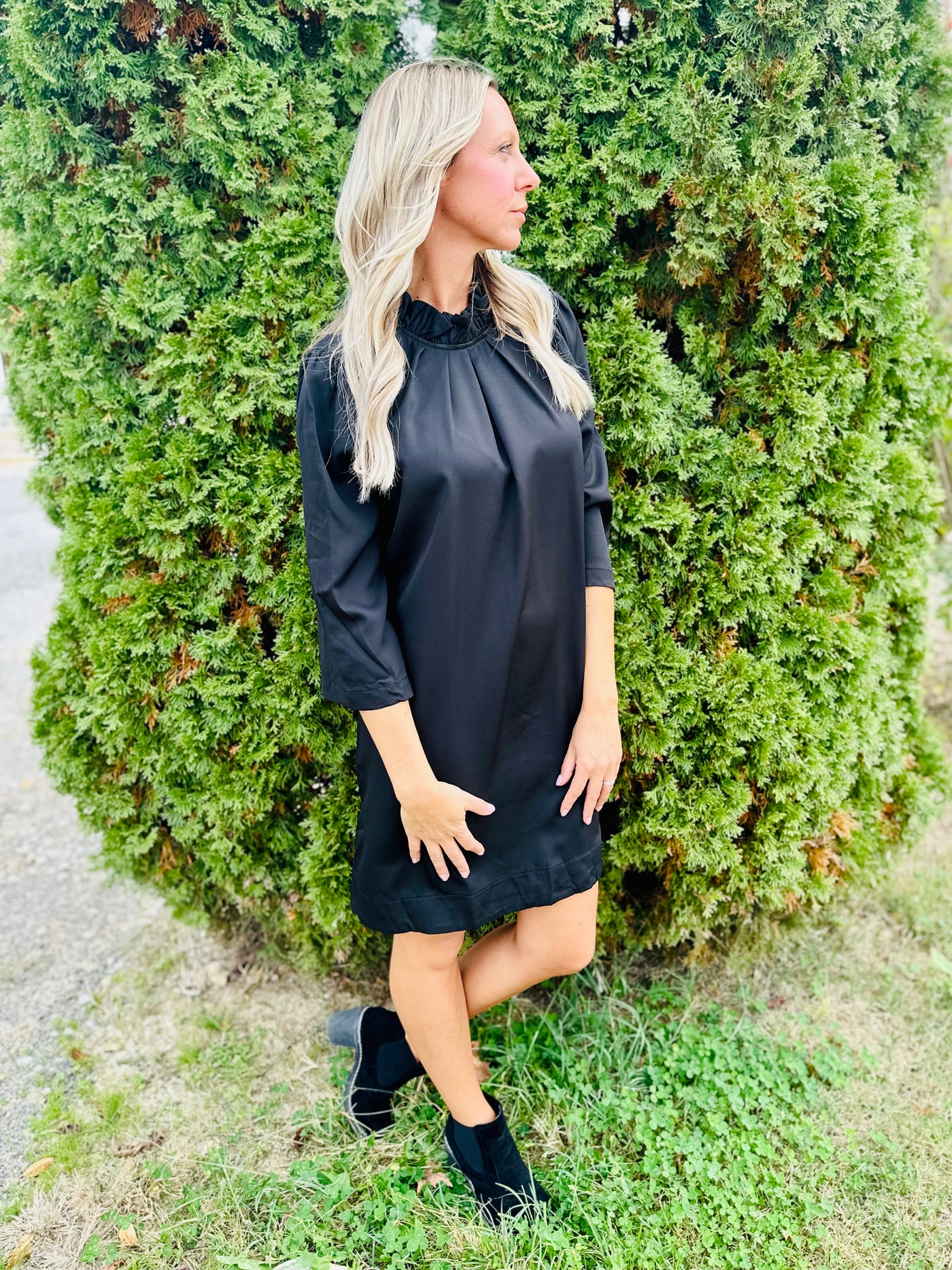 Black High Ruffle Neck Dress