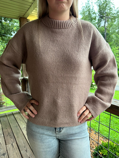 Mocha Oversized Solid Casual Sweater Top