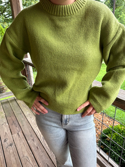 Avocado Oversized Solid Casual Sweater Top