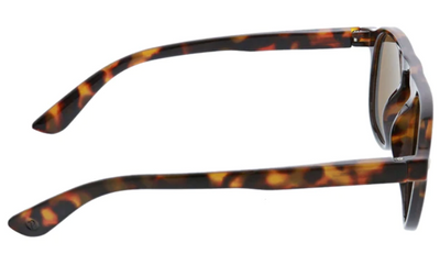 Peeper's Neptune Reader Sunglasses in Tortoise/Black (2 Options)