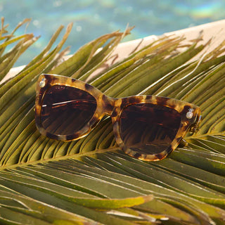 DIFF EYEWEAR HAWAII COCONUT PALM TORT + BROWN GRADIENT