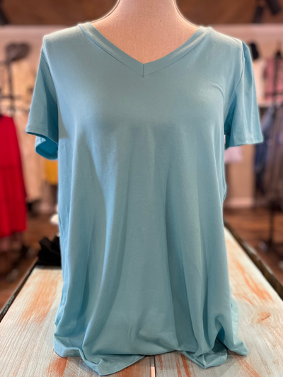 Curvy Butter Soft Solid Fabric V Neck Top