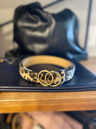 Simple Double Ring Buckle Fashion Belt